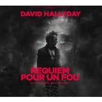 David Hallyday - Requiem Pour Un Fou - Tournée