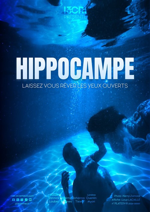 Hippocampe : Le Rencard De L'impro