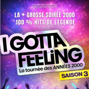I Gotta Feeling - Saison 3 - La Tournée Des Années 2000