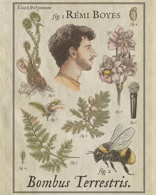Rémi Boyes