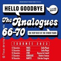 The Analogues - Tournée 2023